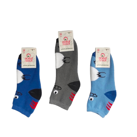 Махровые детские зимние носки микс цветов в упаковке "Дракончик" Арт.350